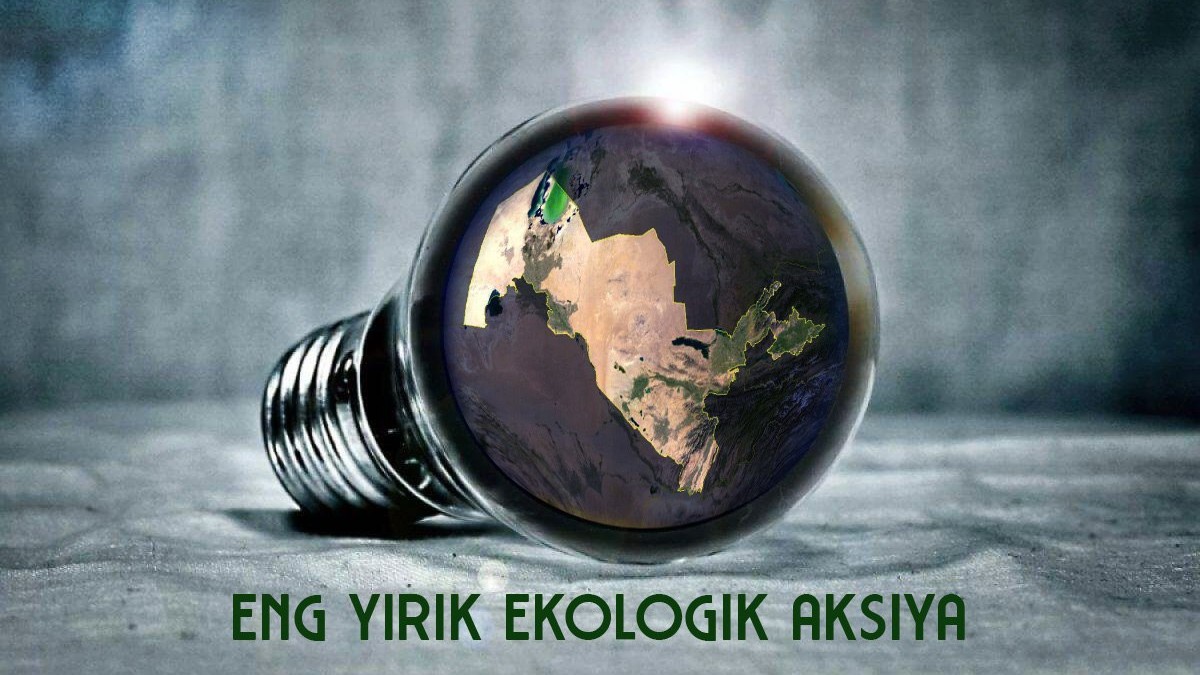 Electricity will be turned off for one hour in state organizations on March 25 - Earth Hour Day